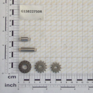 KIT INGRANAGGI-AGITATORE V F GASPARDO CODICE G15822750