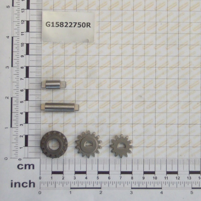 KIT INGRANAGGI-AGITATORE V F GASPARDO CODICE G15822750