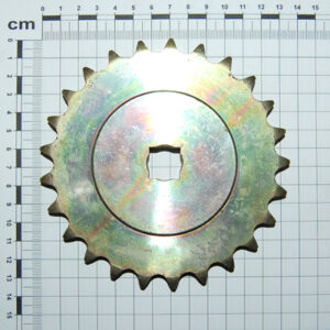 PIGNONE Z-25 ZN. GASPARDO CODICE G16630420