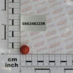 TAPPO SUPP.SPAND.D.11 GASPARDO CODICE G66248223